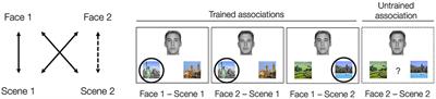 Generalization and False Memory in an Acquired Equivalence Paradigm: The Influence of Physical Resemblance Across Related Episodes